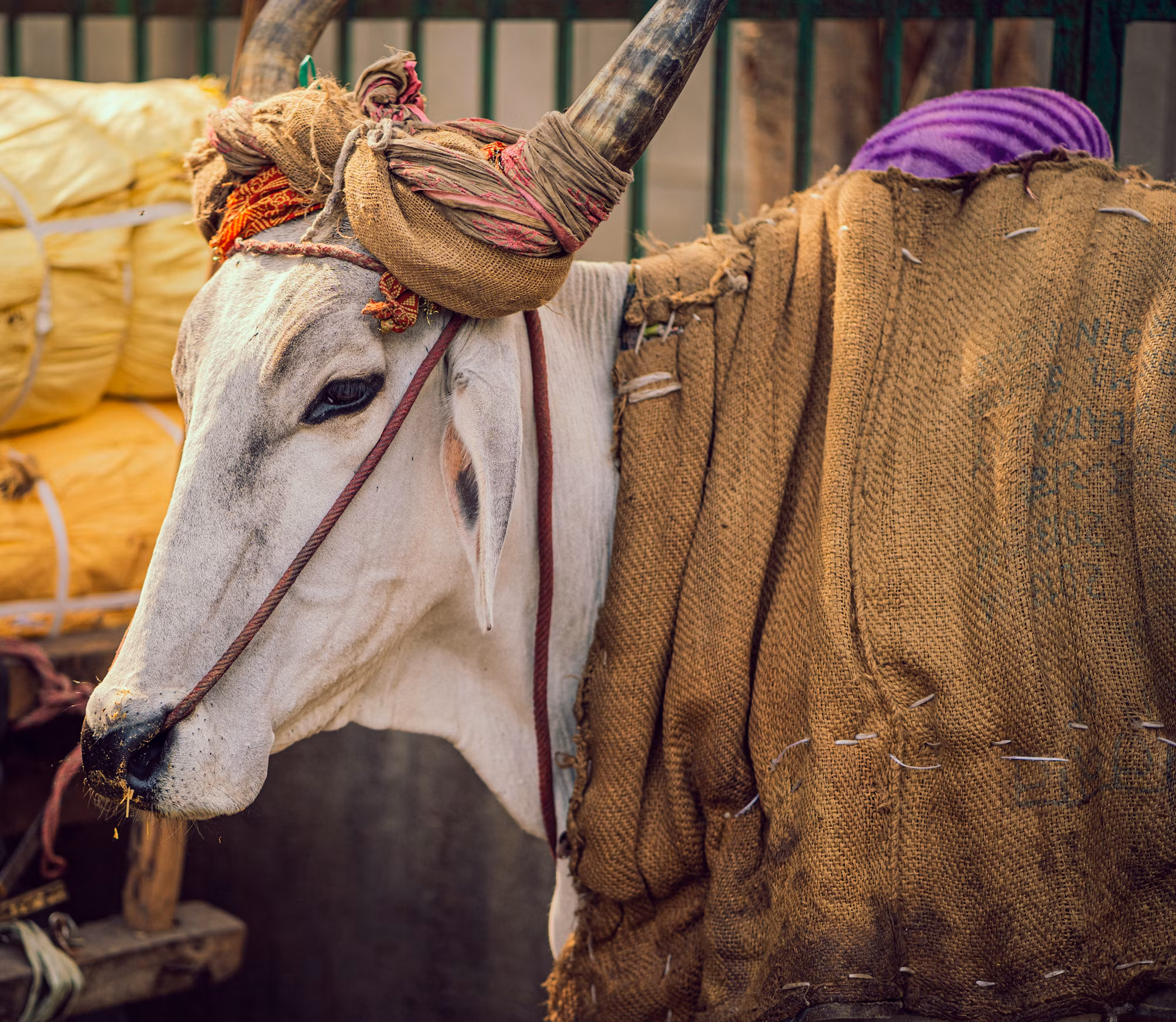 Bazaars and Souks: A Journey Through Time and Culture